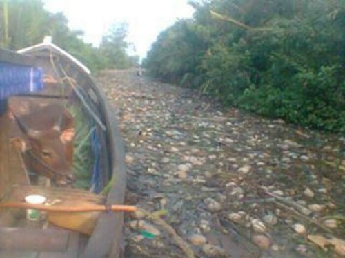 Sudah 30 Tahun Sungai Selat Pidada Dangkal dan Dipenuhi Sampah, Pemkab Inhil Tak Peduli