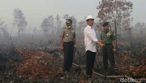 Gunakan Jalur Darat dari Bukittinggi ke Riau, Hari Ini Jokowi Tinjau Pembangunan Sekat Kanal di Rimbo Panjang