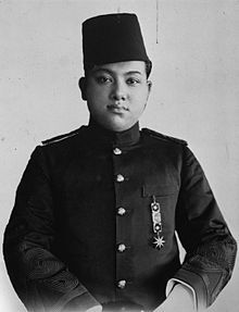 Kegigihan dan Keikhlasan Sultan Syarif Kasim II Perlu Dicontoh