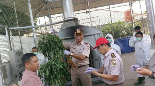 Gawat, 4 WN China Tanam 5.000 Batang Cabai Berbakteri di Bogor, Diduga Bertujuan Punahkan Cabai Indonesia, Berpotensi Rugikan Petani Rp54 Triliun