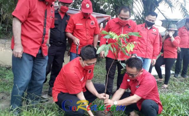 Peringati HUT ke-48, PDIP Pelalawan Tanam Pohon di Pinggir Sungai Kerinci dan Bagikan 48 Tumpeng