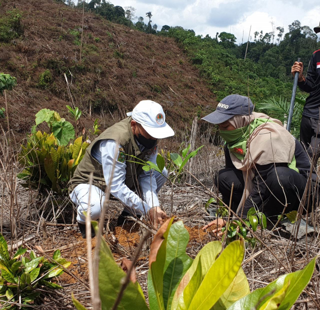 Kolaborasi PTPN V Reboisasi Hutan Lindung Bukit Suligi