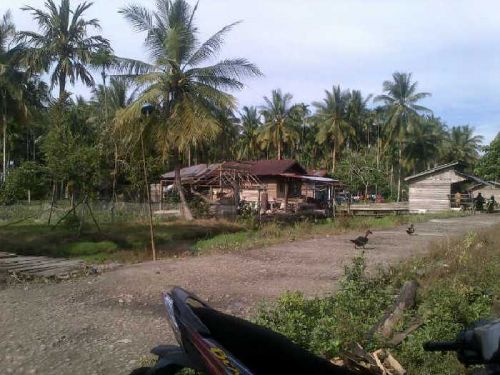 Tak Kunjung Digunakan, Tiang Listrik di Desa Pasir Limau Kapas Rohil Cuma untuk Jemuran Kain