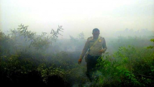 6 Hektar Gambut Terbakar, Polisi dan Regu Darat Menginap di Hutan Kerumutan Tunggu Bantuan Bom Air