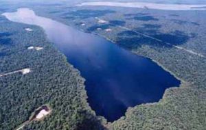 GoRiau Taman Nasional Zamrud: Keindahan Danau Air Hitam dan Kemegahan Hutan Rawa di Siak
