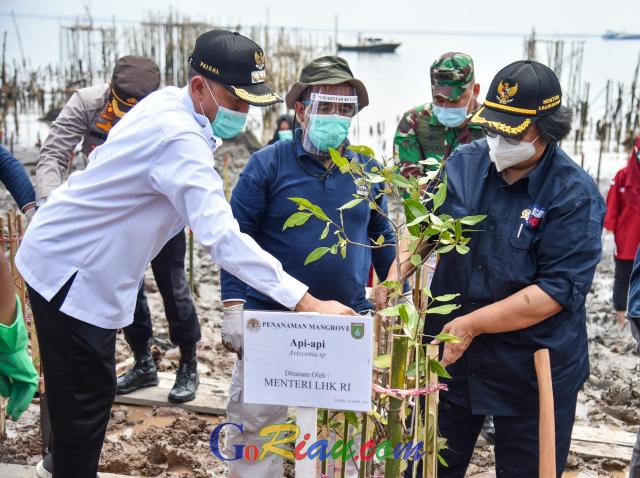 PEN Mangrove 2021 di Riau Dimulai