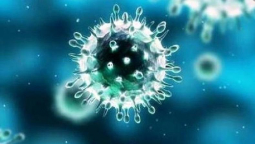 Dianggap Dewi, Sebagian Wanita India Sembah Virus Corona