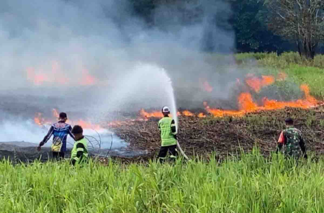 BMKG Peringatkan Cuaca Ekstrem di Riau, 88 Titik Panas Terdeteksi di Sumatera
