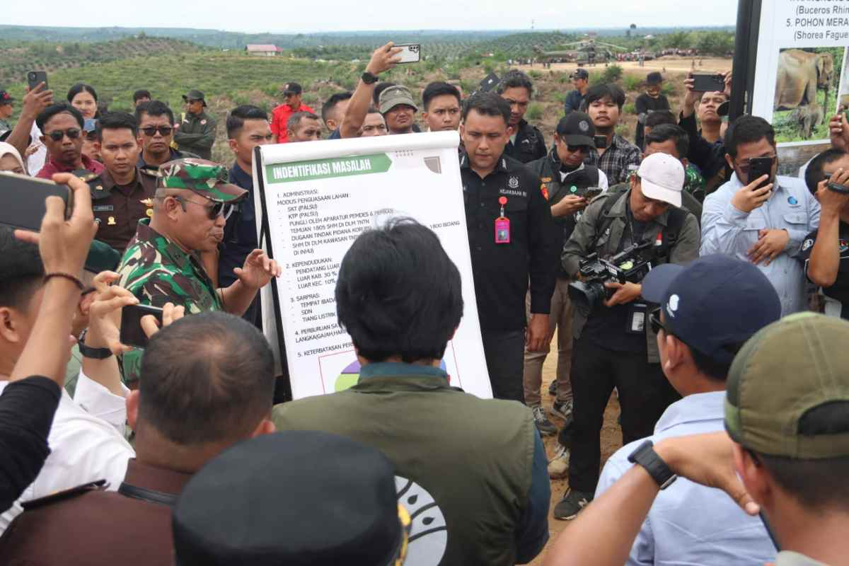 Satgas PKH Tertibkan 81.793 Hektare Kawasan Taman Nasional Tesso Nilo Pelalawan Riau