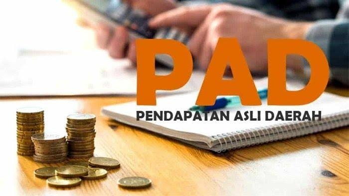 Realisasi APBD Rendah, DPRD Riau: Pemprov Tidak Kreatif Gali PAD