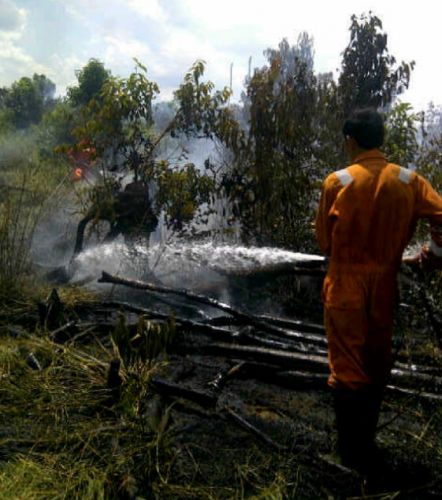 Kebakaran Lahan di Desa Sering Makin Meluas, Tim Gabungan Terus Berupaya Lakukan Pemadaman