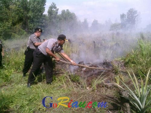 90 Personel Polresta Pekanbaru Dikerahkan Padamkan Kebakaran 3 hektar Lahan di Payung Sekaki