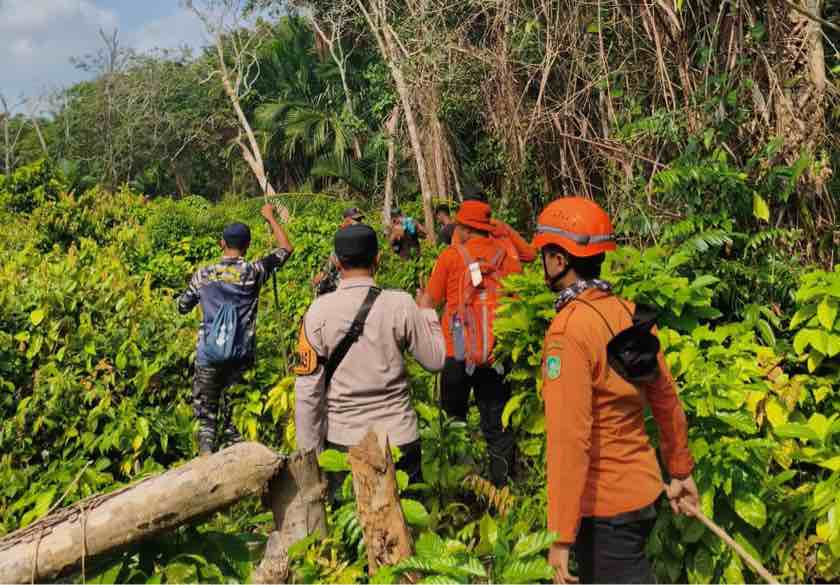 Cari Lansia 80 Tahun, Tim SAR Sisir Perkebunan Desa Maini Meranti
