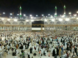 GoRiau 229 WNI Ditangkap di Makkah Menjelang Wukuf, Ini Kesalahannya