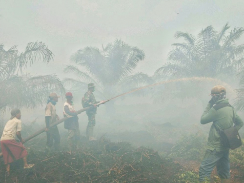 Riau Terpapar Asap dari Provinsi Tetangga
