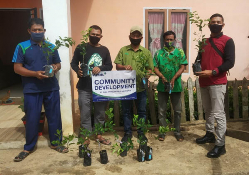 Targetkan Jadi Sentra Jeruk Nipis, RAPP Bantu Ribuan Bibit ke Desa Rambahan dan Koto Inuman