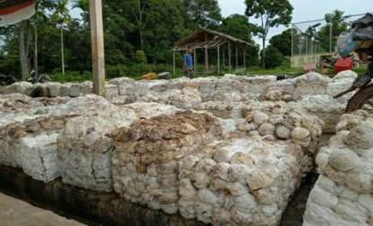 GoRiau Harga Bahan Olahan Karet di Tingkat Pabrik di Riau Minggu Ini Rp17.500 per Kg