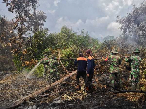 Mulai Hari Ini, Riau Tetapkan Status Siaga Darurat Bencana Karhutla