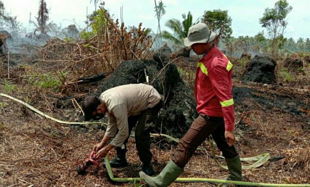 3 Hektare Lahan yang Terbakar di Kuala Kampar Pelalawan Berhasil Dipadamkan Petugas