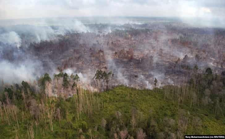 BMKG Pekanbaru Deteksi 251 Hotspot di Riau Hari Ini