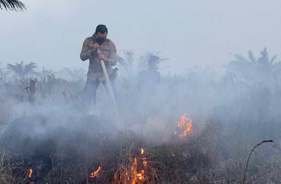 Riau Mulai Membara, 182 Hektare Lahan Hangus Dilalap Api