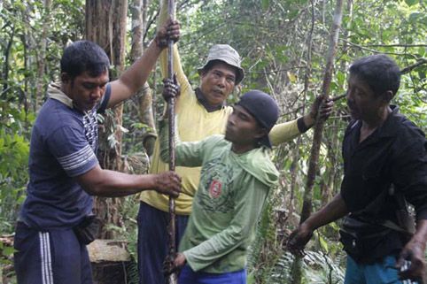 4 Tahun Menanti, Akhirnya Hutan Desa Segamai-Serapung Terwujud