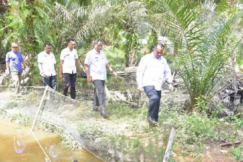 55 Kepala Keluarga Terendam Banjir di Kampar Kiri, Pemkab Salurkan Bantuan
