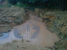 Limbah PT SSR Cemari Sungai Bungin, Warga Talang Jerinjing Resah, BLH Inhu Diam Saja