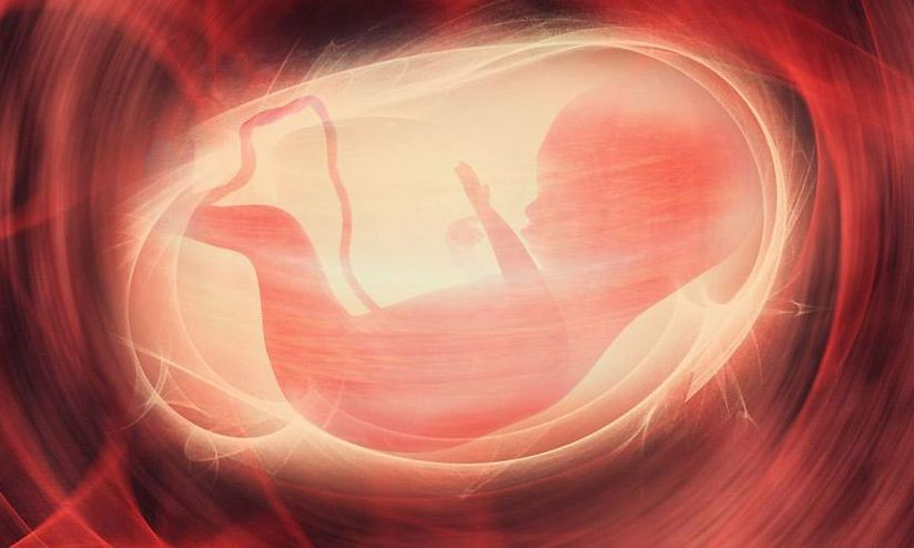 Unri Terima Laporan Dugaan Pemaksaan Aborsi oleh Mahasiswa dan Pastikan Penanganan Sesuai Prosedur