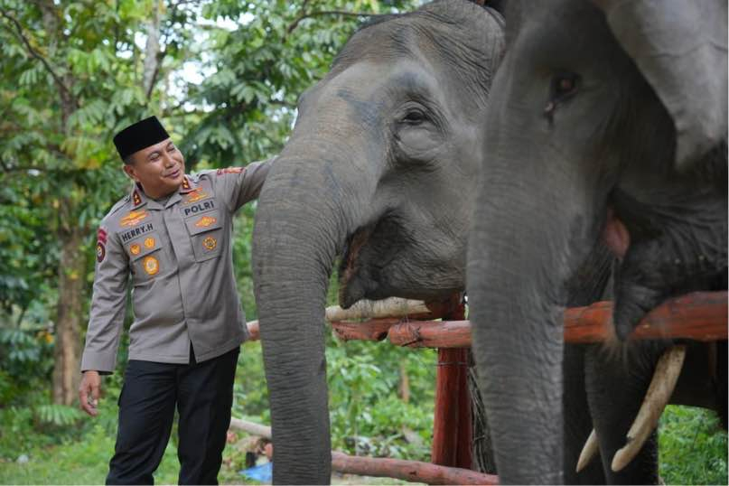 Kapolda Riau Kunjungi PLG Minas, Dukung Inpres Prabowo Selamatkan Gajah Sumatera