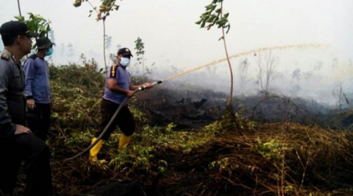 Padamkan Kebakaran 3 Hektar Lahan di Rumbai, Satgas Habiskan 3.100 Liter Air