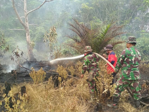 Ini yang Dilakukan Syamsuar Tanggulangi Karhutla di Riau Sebelum Masyarakat Terpapar Asap
