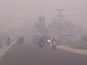 GoRiau Pemerintah Berikan Kompensasi Kematian Rp15 Juta bagi Korban Kabut Asap
