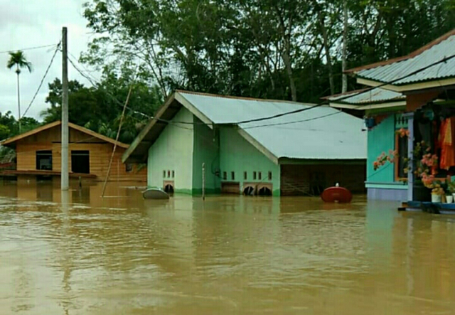 Sungai Meluap, Ratusan Rumah di Ukui Pelalawan Terendam Banjir