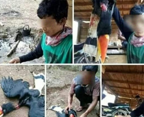 Pelaku Pembantai Burung Rangkong yang Viral di Medsos Ditangkap Polisi di Kuansing