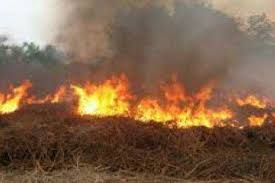 Alamak! Empat Alat Berat Ikut Terbakar di Lahan Sagu Milik Sampoerna