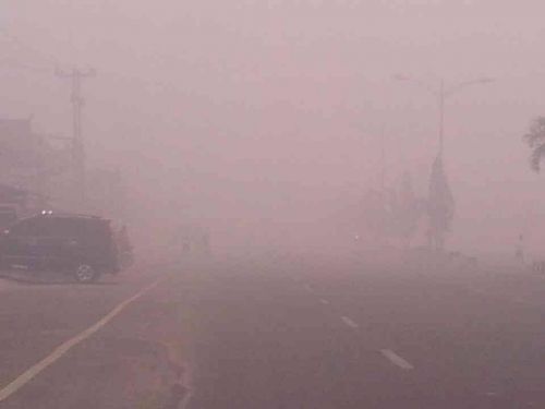 PT NSP Akhirnya Ditetapkan Sebagai Tersangka Pembakaran Lahan di Riau