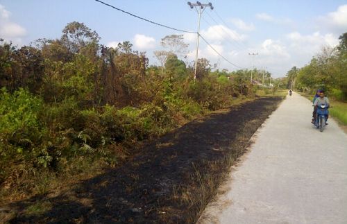 Wow! Kebakaran di Desa Mekong Meluas Hingga ke Ruas Jalan