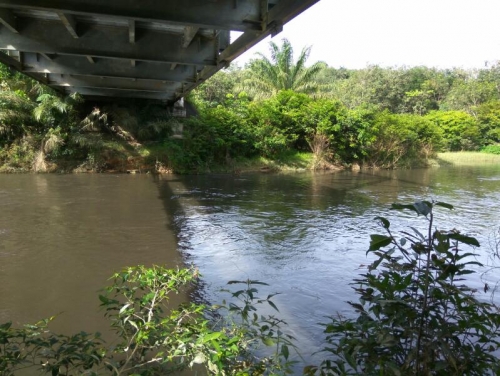 Pagi Ini, Air Sungai Tesso Berwarna Hitam, Diduga Limbah PT CRS