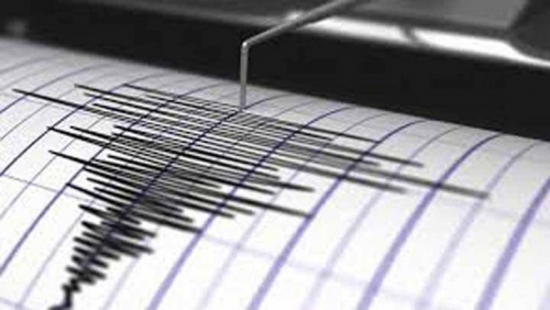 Gempa Magnitudo 6,9 Guncang Sulawesi Tengah, Berpotensi Tsunami