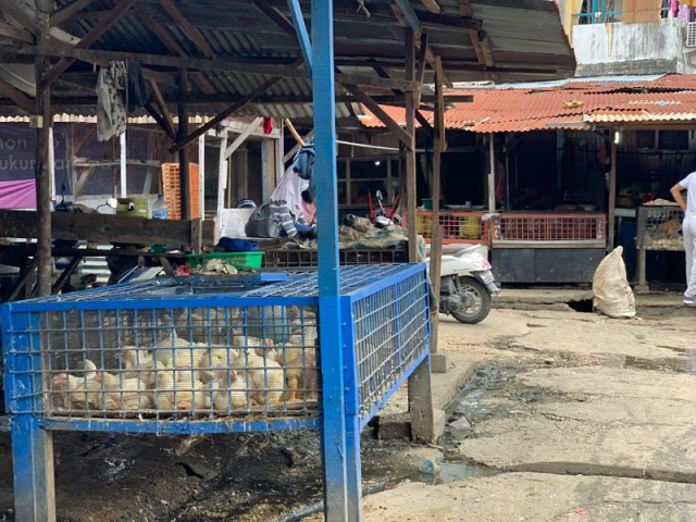 Sehari Menjelang Puasa, Harga Daging Sapi dan Ayam di Kota Pekanbaru Melambung
