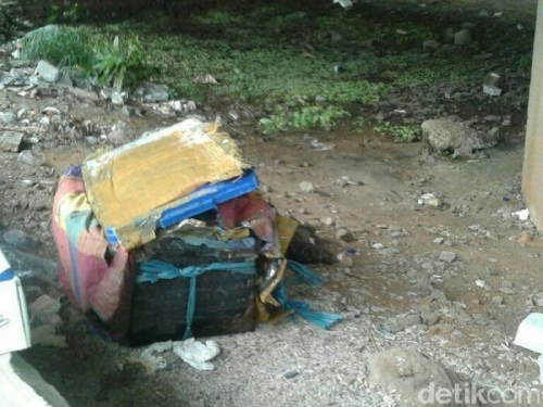 Warga Temukan Mayat Wanita Berkalung Emas Tanpa Celana dalam Kotak