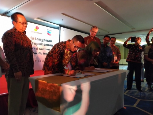 Lakukan Berbagai Upaya untuk Memulihkan Gambut, BRG Gandeng PT Chevron Indonesia