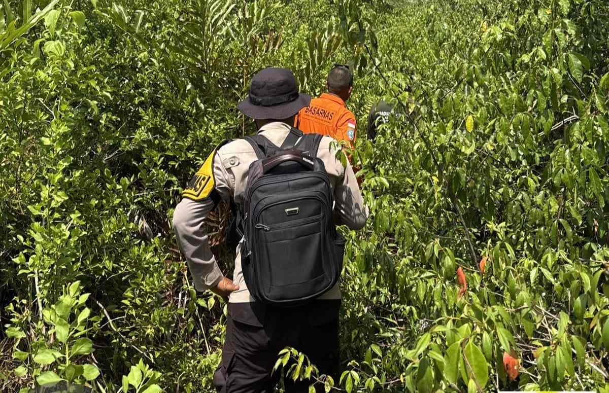 Hari Keenam Pencarian Selamat Masih Nihil, Tim SAR Sisir Wilayah hingga Radius 3 KM