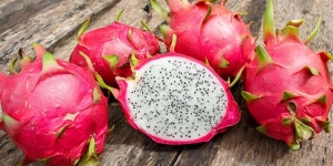 GoRiau Rutin Konsumsi Buah Naga Bisa Mengatasi Kanker, Diabetes dan . . . .
