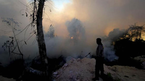 Lahan yang Terbakar di Riau Ada di 8 Kabupaten, Jarak Pandang Dibawah 1 Kilometer