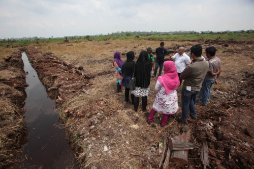 Program Desa Bebas Api RAPP, Cegah Karhutla Dini, Puluhan Petani Ikuti Pelatihan Pertanian