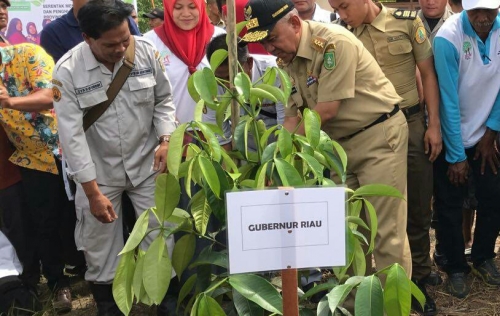 Arsyadjuliandi Rachman: Kepala Daerah Harus Mendorong Percepatan Rehabilitasi Hutan dan Lahan di Riau