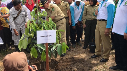 Tanam 25 Ribu Pohon, Gubernur Riau dan Masyarakat Desa Pantai Kuantan Mudik Serempak Ingin Selamatkan Hutan