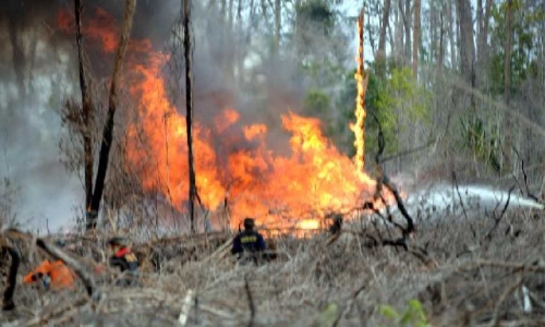 Kebakaran Hutan dan Lahan Dikhawatirkan Jadi Modus Sindikat Narkoba di Riau Melalui Jalur Laut